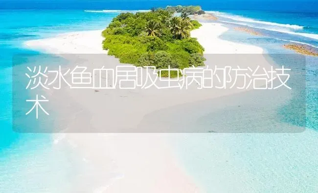 淡水鱼血居吸虫病的防治技术 | 养殖病虫害防治