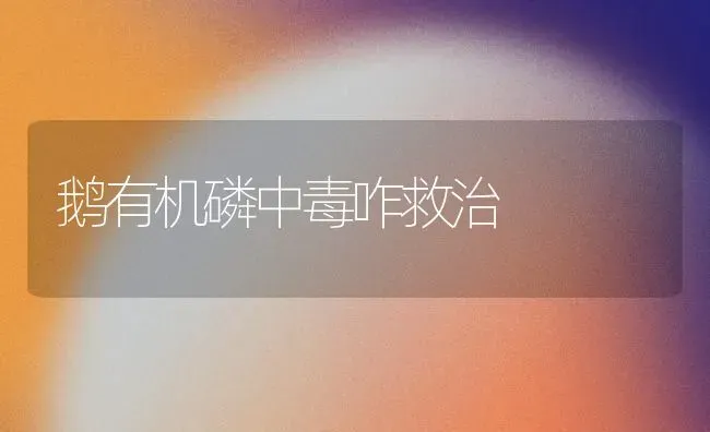 鹅有机磷中毒咋救治 | 家禽养殖