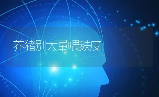 养猪别大量喂麸皮 | 家畜养殖