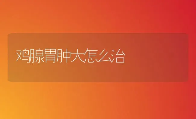 鸡腺胃肿大怎么治 | 家禽养殖