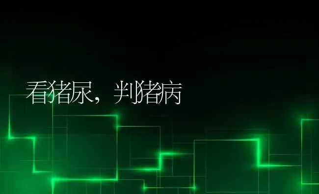 看猪尿，判猪病 | 家畜养殖