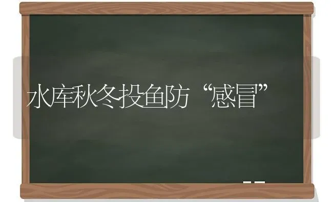 水库秋冬投鱼防“感冒” | 淡水养殖