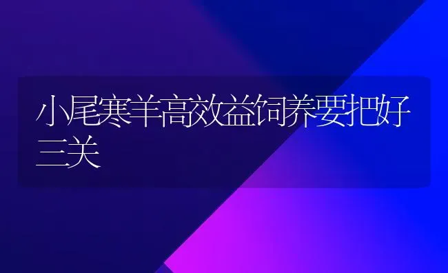 小尾寒羊高效益饲养要把好三关 | 家畜养殖