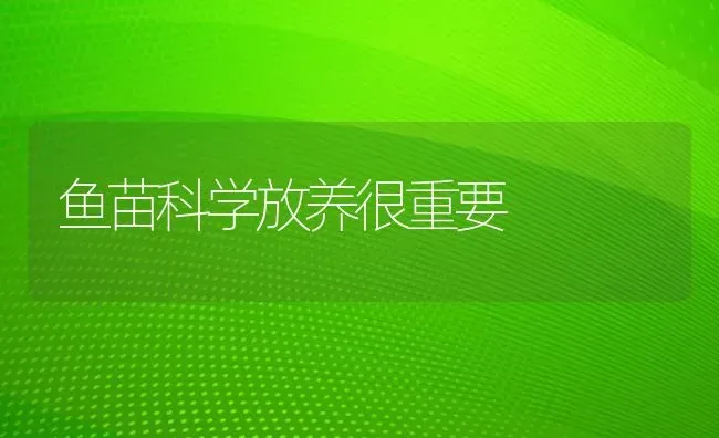 鱼苗科学放养很重要 | 淡水养殖