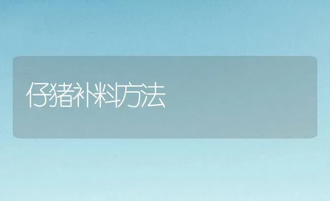 仔猪补料方法 | 家畜养殖