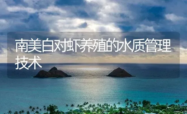 南美白对虾养殖的水质管理技术 | 海水养殖