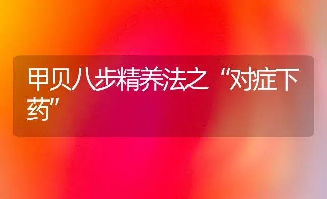 甲贝八步精养法之“对症下药” | 养殖病虫害防治