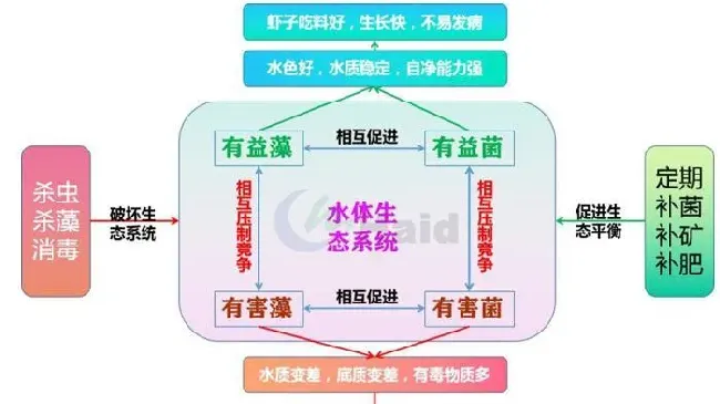 池塘频繁变脸！高温期如何稳水效果才最持久？