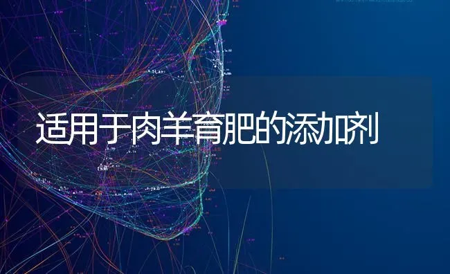 适用于肉羊育肥的添加剂 | 家畜养殖