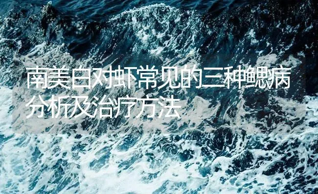 南美白对虾常见的三种鳃病分析及治疗方法 | 海水养殖