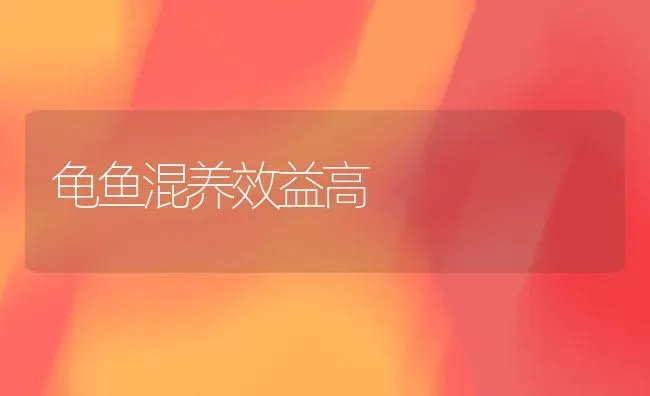 龟鱼混养效益高 | 淡水养殖