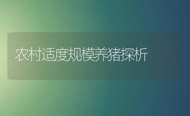 农村适度规模养猪探析 | 家畜养殖