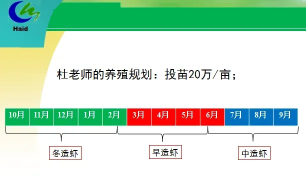 海南东方市四更镇冬造对虾高产养殖模式