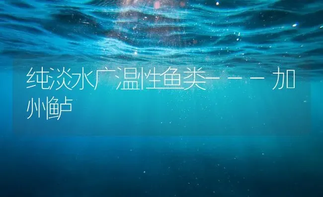 纯淡水广温性鱼类---加州鲈 | 淡水养殖