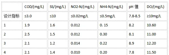 工厂化循环水养殖珍珠龙胆石斑鱼效果显著