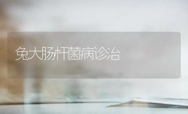 兔大肠杆菌病诊治 | 家畜养殖