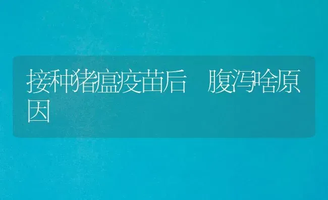 接种猪瘟疫苗后 腹泻啥原因 | 家畜养殖