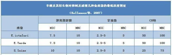 食品安全时代饲料中抗生素强有力的替代品，为何是它脱颖而出？