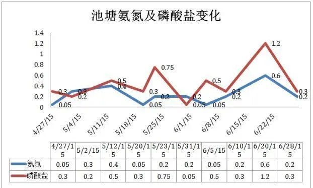 谨防变天脱肥 养殖户要抓紧投喂促长成