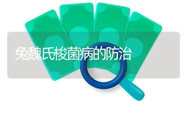 兔魏氏梭菌病的防治 | 家畜养殖
