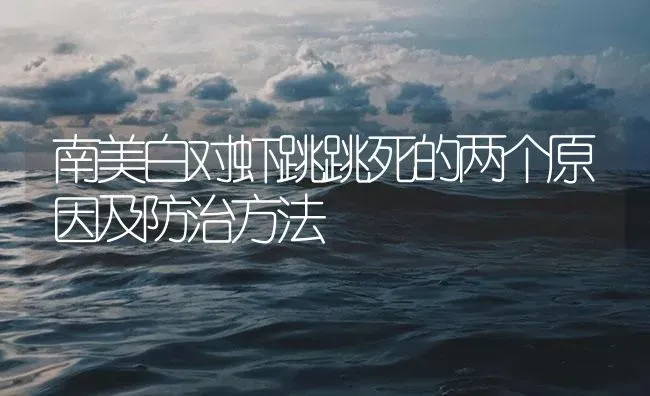南美白对虾跳跳死的两个原因及防治方法 | 海水养殖