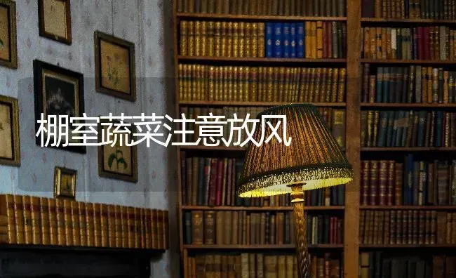确保羊群安全健康越冬的措施 | 家畜养殖