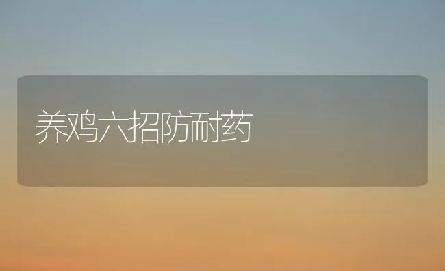 养鸡六招防耐药 | 养殖病虫害防治