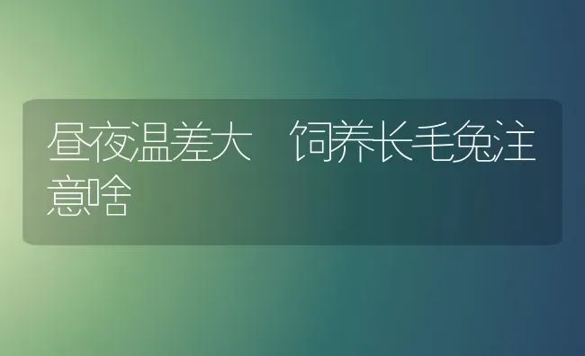 昼夜温差大 饲养长毛兔注意啥 | 家畜养殖