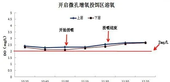 采用微孔增氧技术对投饵区进行增氧的效果评价