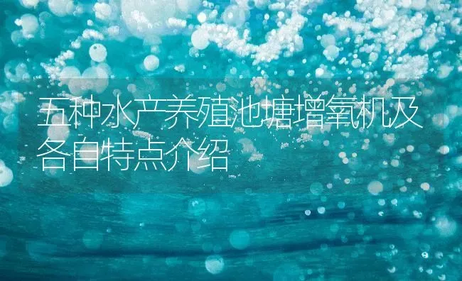 五种水产养殖池塘增氧机及各自特点介绍 | 动物养殖百科