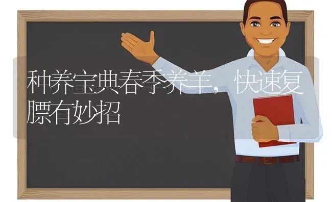 种养宝典春季养羊，快速复膘有妙招 | 家畜养殖