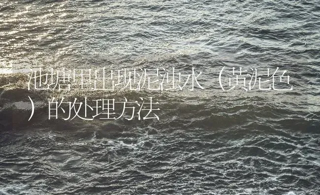 池塘里出现泥浊水（黄泥色）的处理方法 | 动物养殖百科