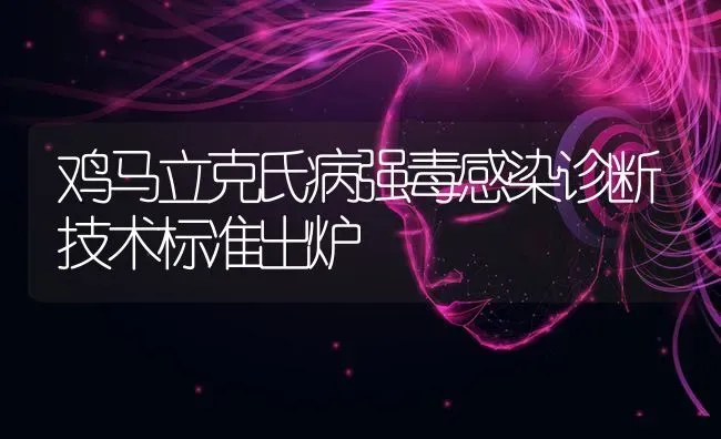 鸡马立克氏病强毒感染诊断技术标准出炉 | 家禽养殖