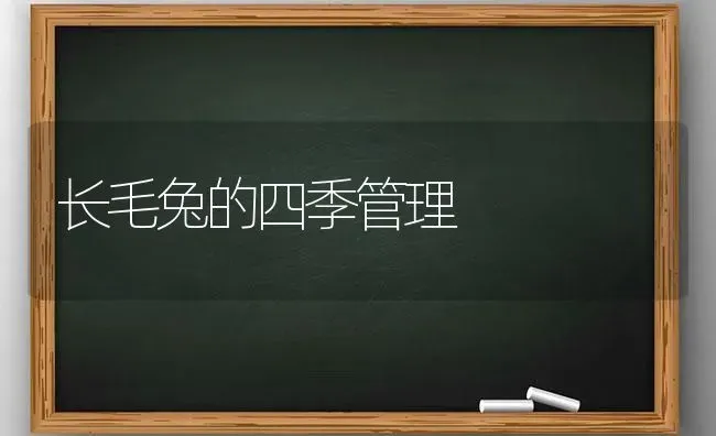 长毛兔的四季管理 | 家畜养殖