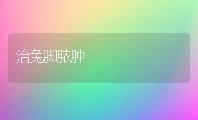 治兔脚脓肿 | 家畜养殖