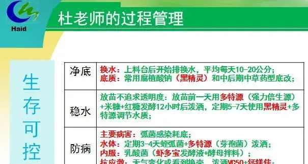 海南东方市四更镇冬造对虾高产养殖模式