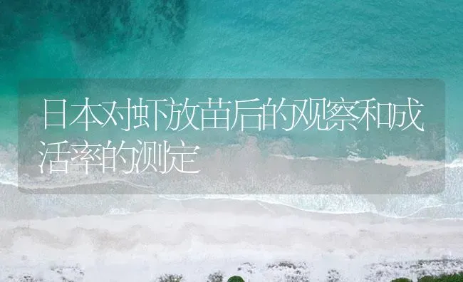 日本对虾放苗后的观察和成活率的测定 | 海水养殖