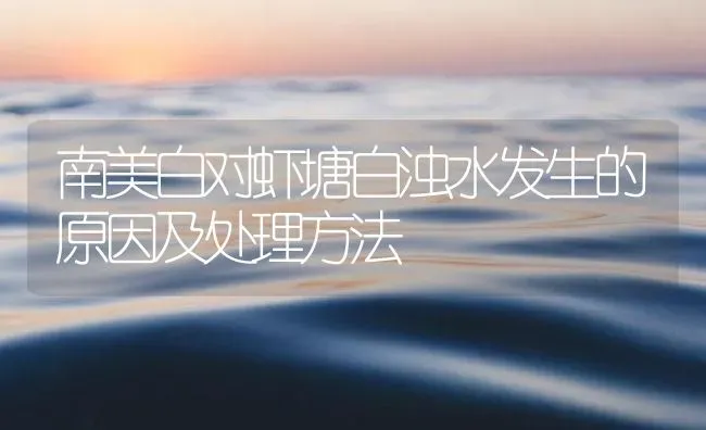 南美白对虾塘白浊水发生的原因及处理方法 | 海水养殖