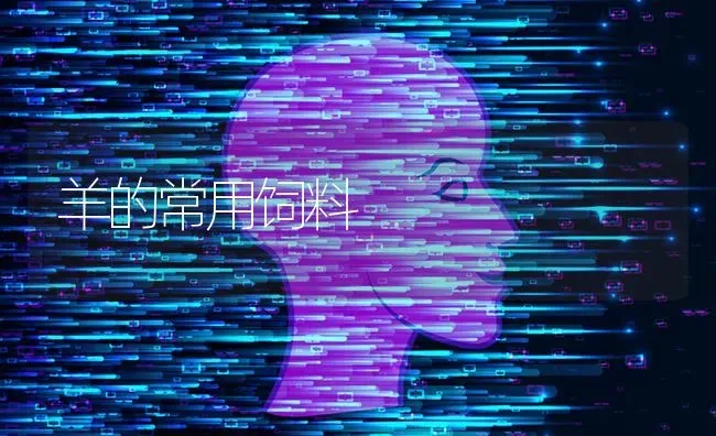 羊的常用饲料 | 家畜养殖
