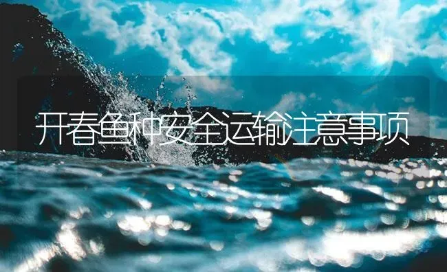 开春鱼种安全运输注意事项 | 淡水养殖