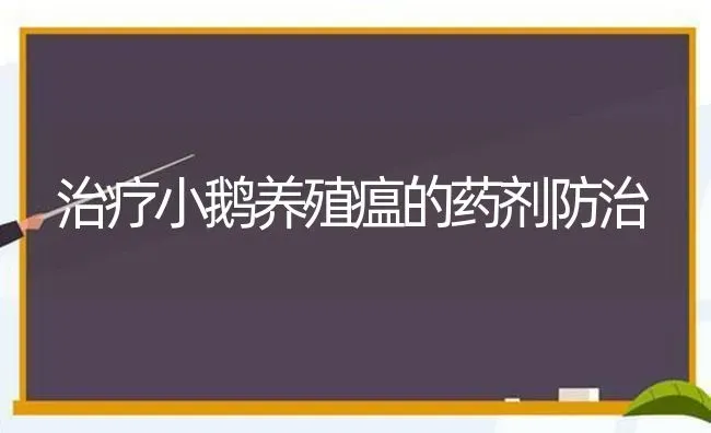 治疗小鹅养殖瘟的药剂防治 | 养殖病虫害防治