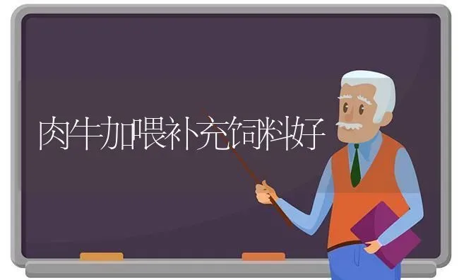 家禽饮水免疫操作务必把握三环节 | 家禽养殖