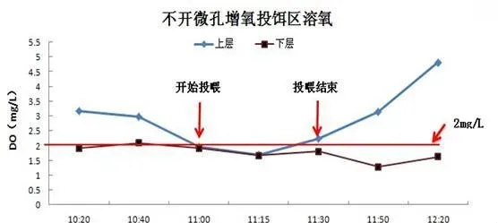 采用微孔增氧技术对投饵区进行增氧的效果评价