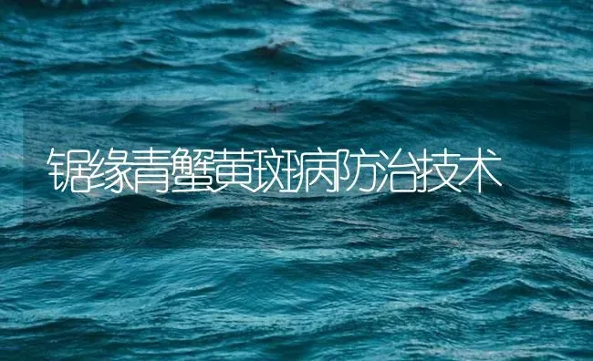 锯缘青蟹黄斑病防治技术 | 海水养殖