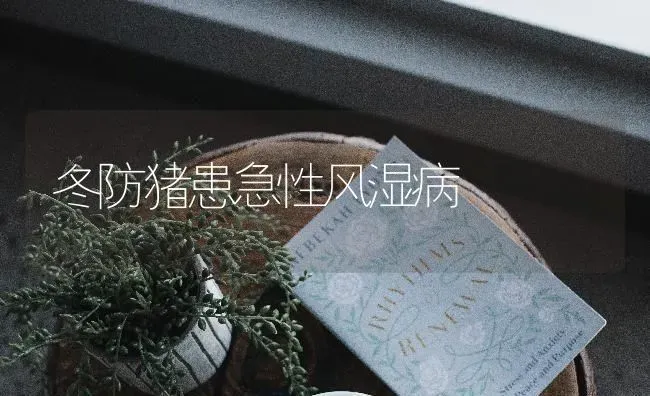 冬防猪患急性风湿病 | 家畜养殖