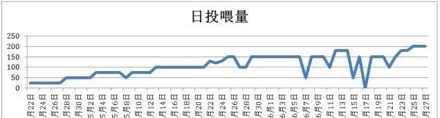 谨防变天脱肥 养殖户要抓紧投喂促长成
