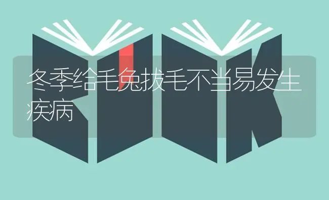 冬季给毛兔拔毛不当易发生疾病 | 家畜养殖