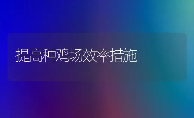 提高种鸡场效率措施 | 家禽养殖