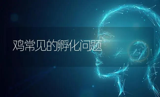 鸡常见的孵化问题 | 家禽养殖