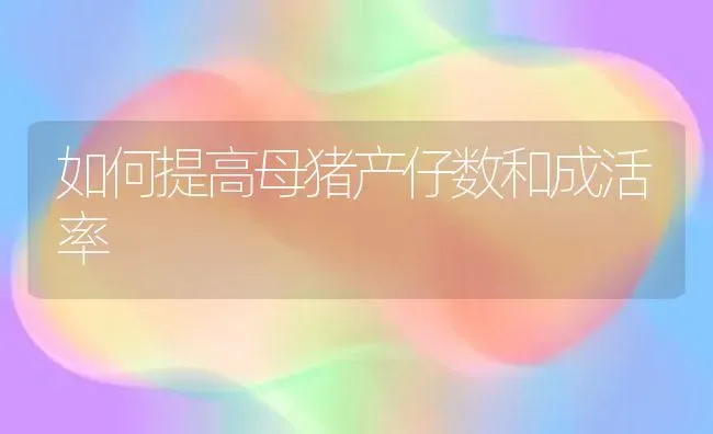 如何提高母猪产仔数和成活率 | 家畜养殖